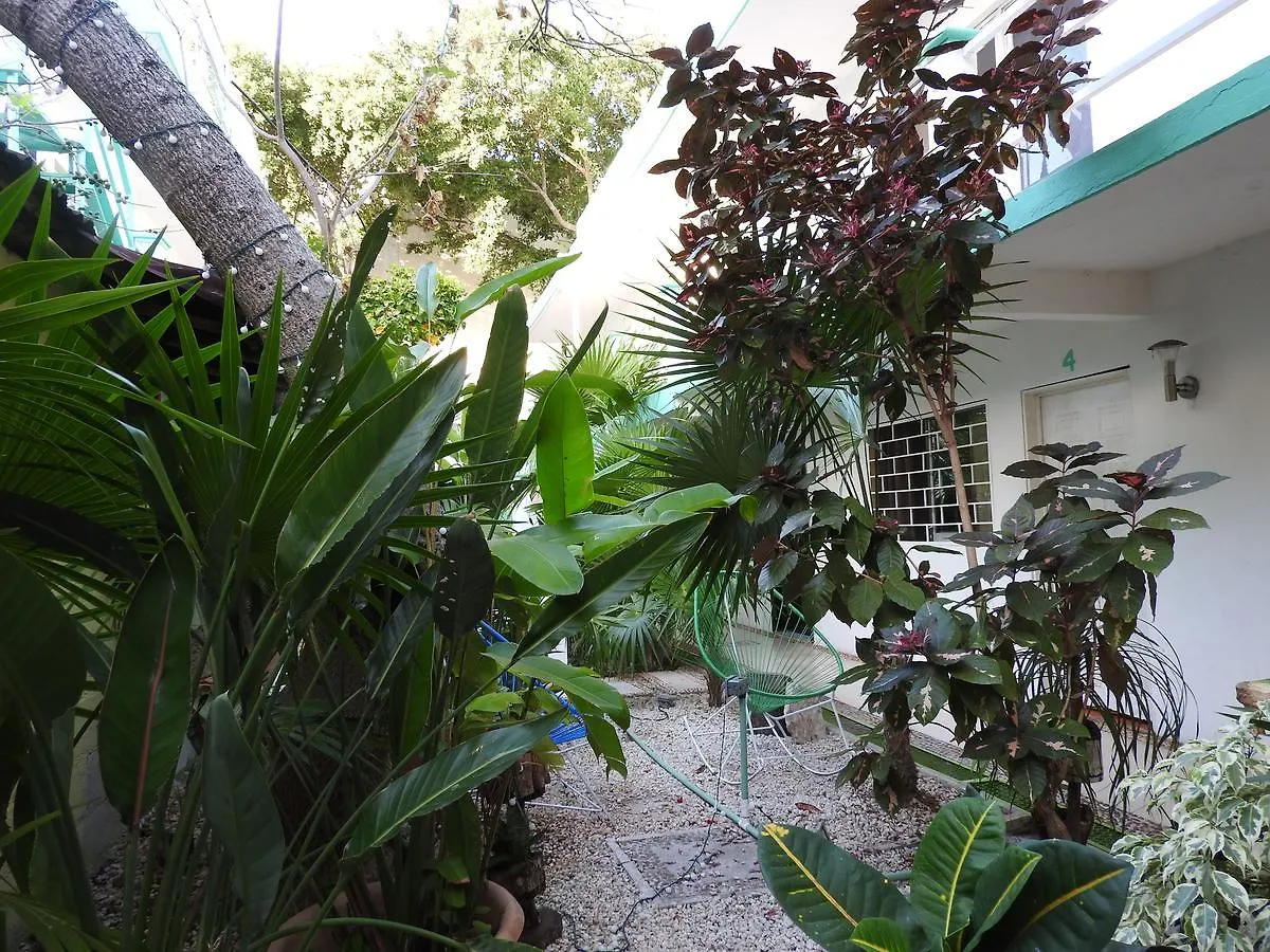 **  Hotel Marinelly Playa del Carmen Meksyk